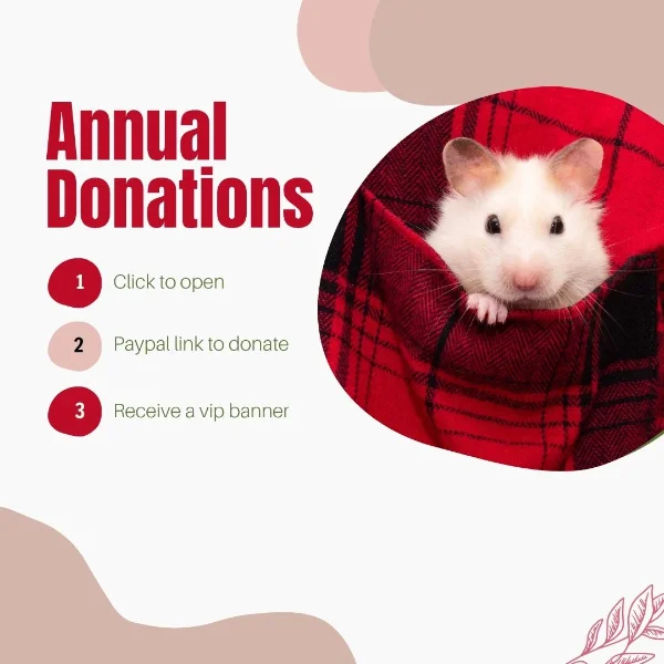Donations.webp