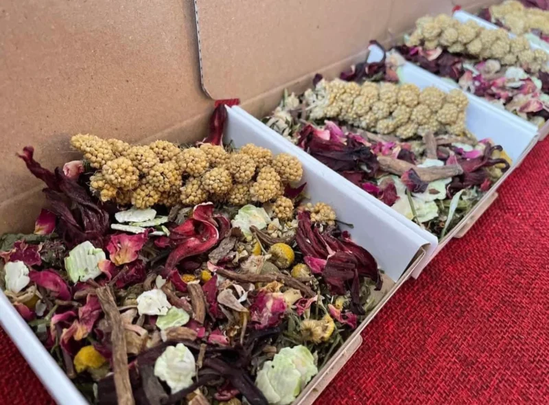 Mini forage box Mrs B.webp