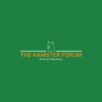 www.thehamsterforum.com