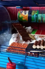 20220910_171801.webp 20220910_171801.webp