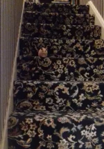 Screenshot_20221025-204411_Samsung Internet.webp