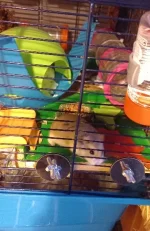 20221027_084742.webp