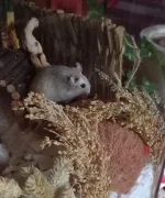 20221027_135845.webp 20221027_135845.webp