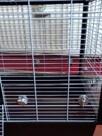 Screenshot_20221016-114603_Samsung Internet.webp