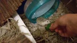 VID_20221005_004502273_exported_33050.webp
