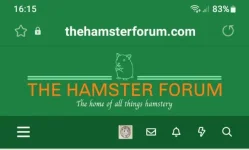 Screenshot_20221031-161600_Samsung Internet.webp Screenshot_20221031-161600_Samsung Internet.webp