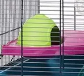 Hamster Heaven pod house.webp Hamster Heaven pod house.webp