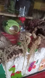 20221101_162259.webp 20221101_162259.webp