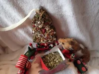 PB120537 resized 500.webp