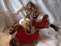 PB120553 resized 500.webp