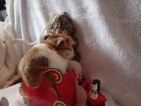 PB120567 resized 500.webp