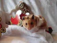 PB120573 resized 500.webp