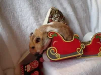 PB120580 resized 500.webp