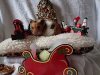 PB120593 resized 500.webp