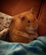 P7080578 resized 500.webp