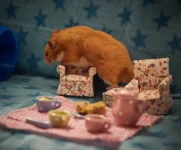 P7080569 resized 500.webp