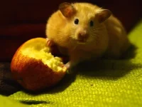 P8241707  best resized 500.webp