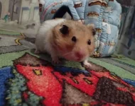 PB201360 resized 500.jpg