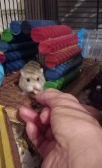 20221111_071957.jpg