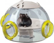 Hamster lab.jpg Hamster lab.jpg