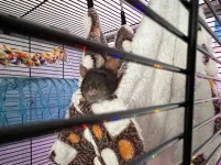 IMG-20221120-WA0001.webp