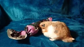 P3041027 resized 600.webp