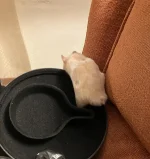 IMG_0119 resized.jpg