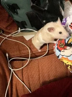 IMG_0122 resized.jpg