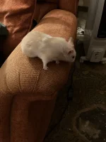 IMG_0129 resized.jpg