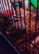 20200919_180626.jpg
