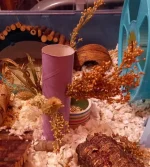 Screenshot_20221019-214314_Samsung Internet.jpg