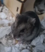 20221124_131438.jpg 20221124_131438.jpg