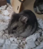 20221124_131455.jpg 20221124_131455.jpg