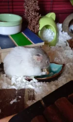 20220705_190320.webp 20220705_190320.webp