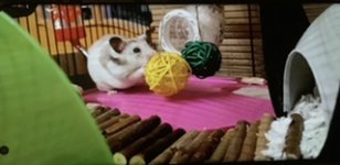 C60581BF-A83C-4DF0-853E-ED41E3A580DA.jpeg