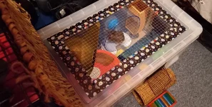 20221205_193602.webp