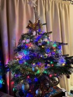 Tree.jpg