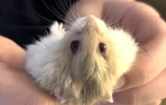 Screenshot 2022-12-09 at 17.56.30.webp