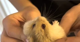 Screenshot 2022-12-09 at 17.56.11.webp