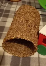 20221021_213219.jpg 20221021_213219.jpg