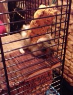 20201231_213842.jpg
