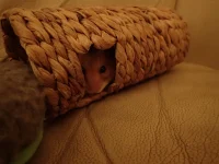 P4091179.jpg P4091179.jpg