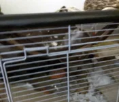 IMG_0154 adusted cropped.jpg