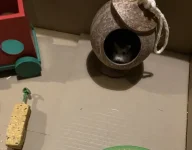 IMG_0157 cropped resized.jpg