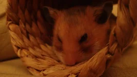 P4091187.jpg P4091187.jpg