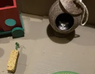 IMG_0158 resized cropped.jpg