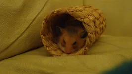 P4091189.jpg P4091189.jpg