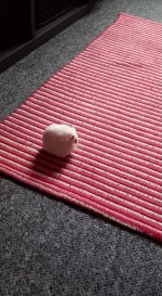 20221217_095621.jpg