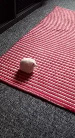 20221217_095621.webp