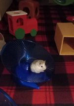 20221219_222034.jpg